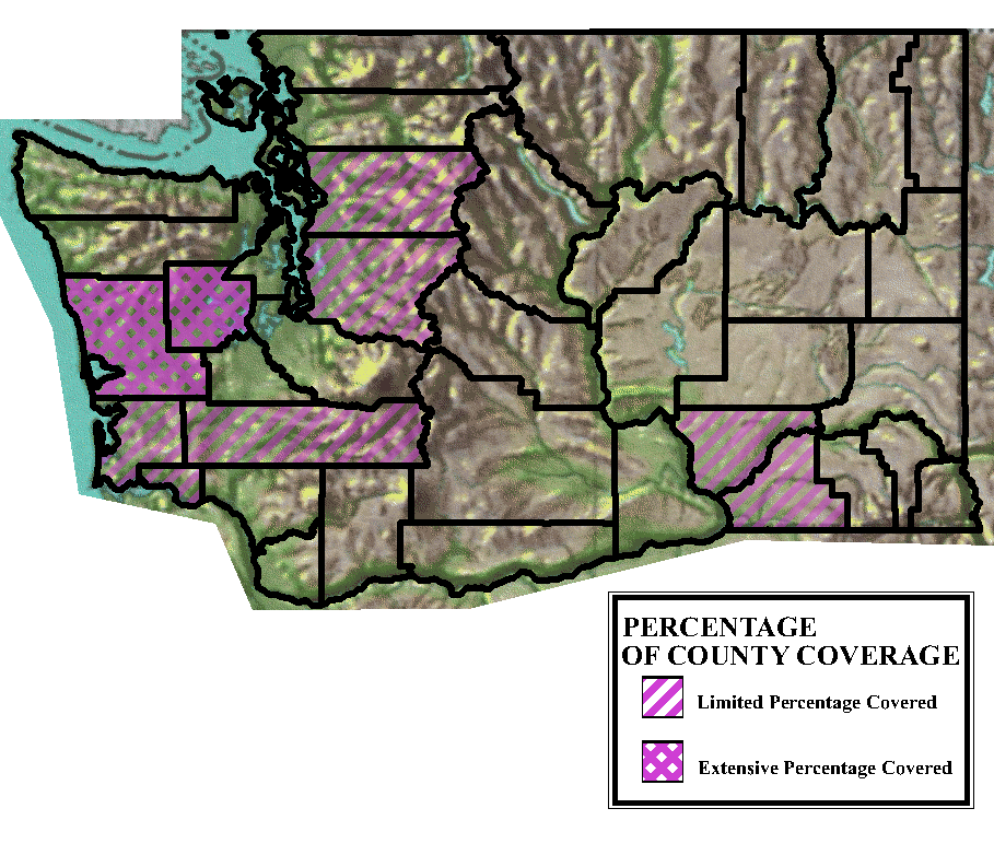 Ammann Washington Map
